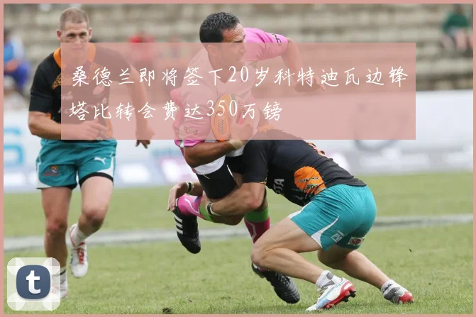 桑德兰即将签下20岁科特迪瓦边锋塔比转会费达350万镑